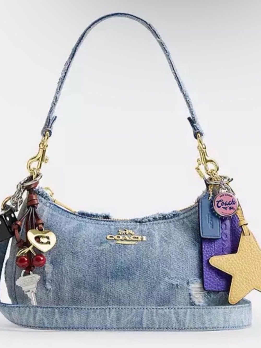 Coach Key/Hangtag Charms from Teri Bag